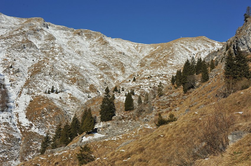 34 - La Croce di Zorzone.JPG